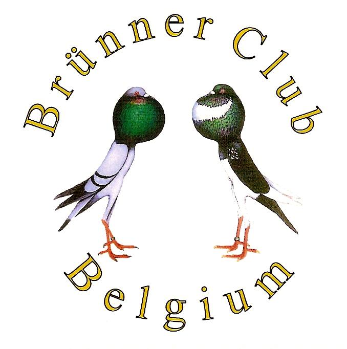 BCB logo kleur