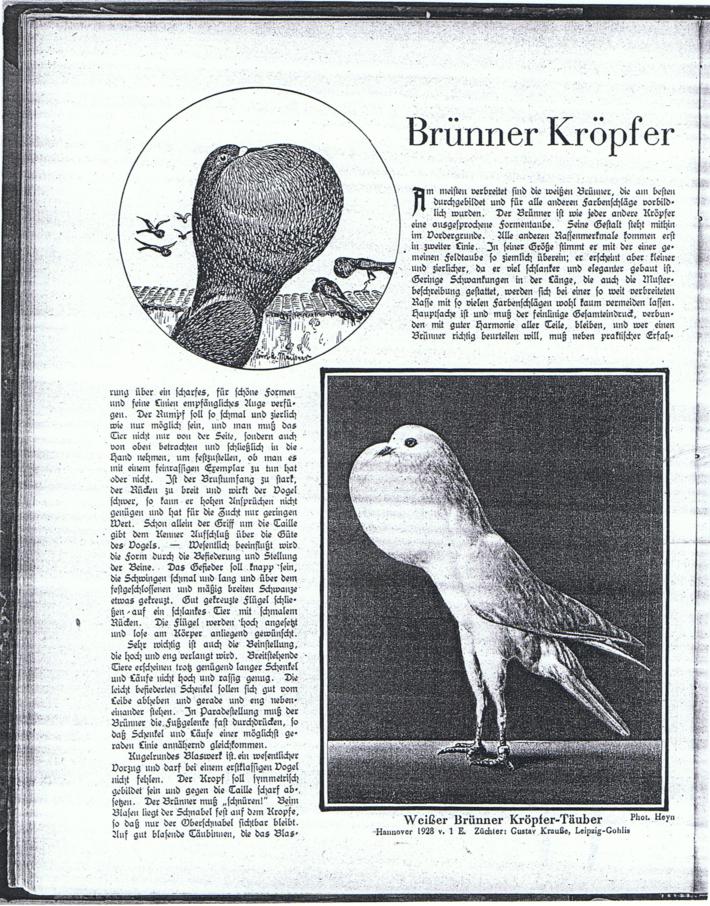 brnner, bericht 1929-1 001_710x906